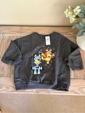 BLuey Dark Gray Pullover Sweatshirt 🆕🌟